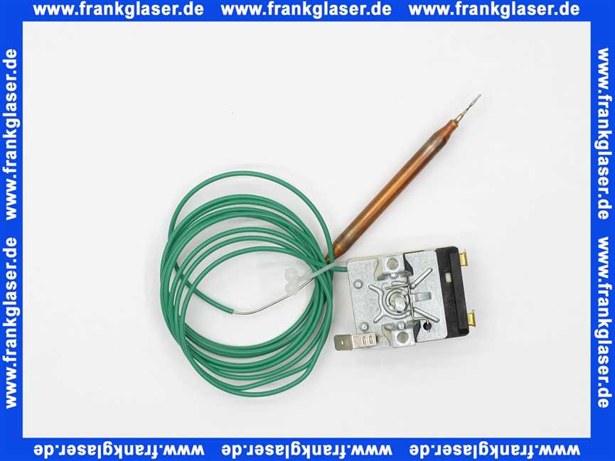 690301 Weishaupt Temperaturregler EGO Typ 55.13019.780