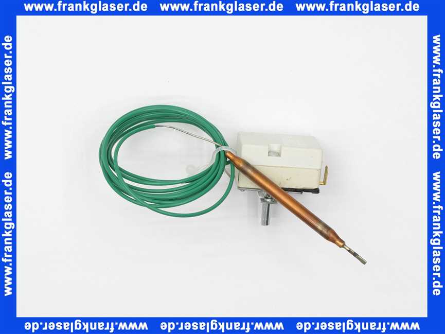 690301 Weishaupt Temperaturregler EGO Typ 55.13019.780