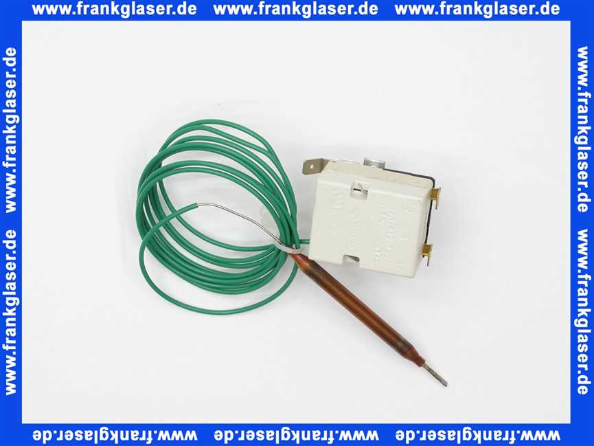 690301 Weishaupt Temperaturregler EGO Typ 55.13019.780