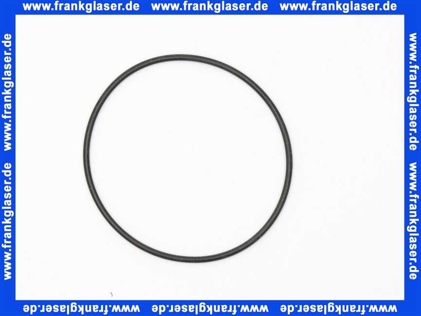 2058018 Wilo O-Ring ID 123,42 x 3,53