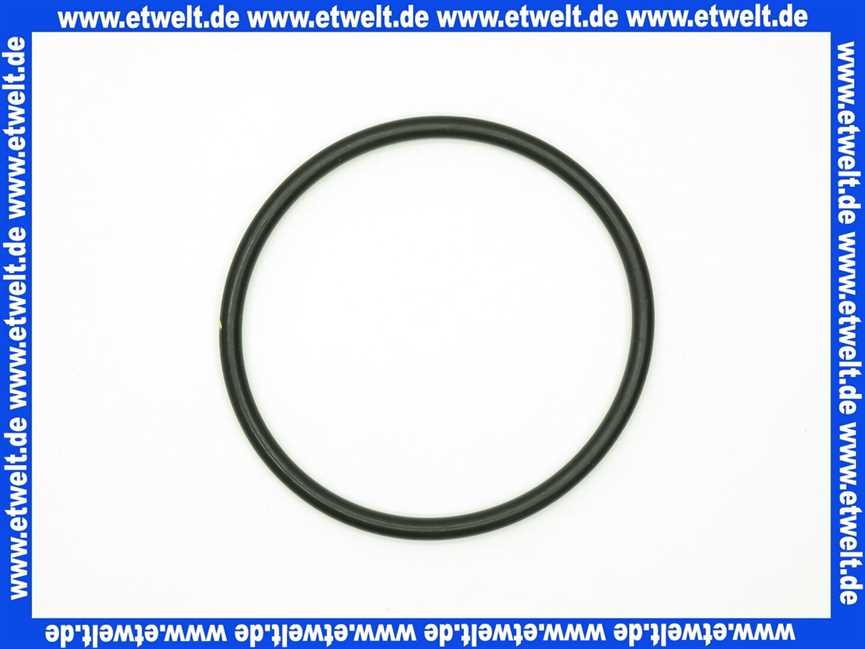 2119963 Wilo O-Ring