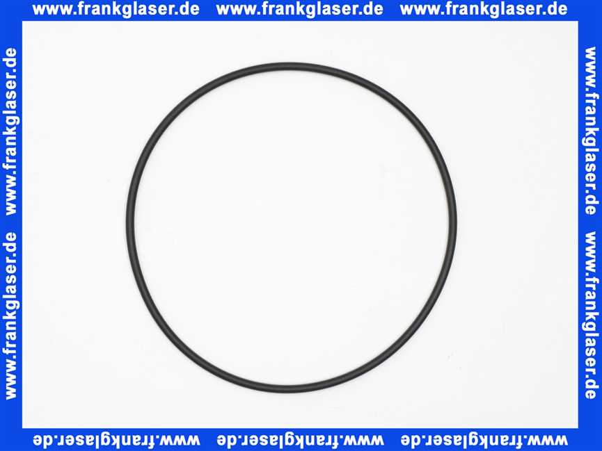 4235548 Wilo O-Ring