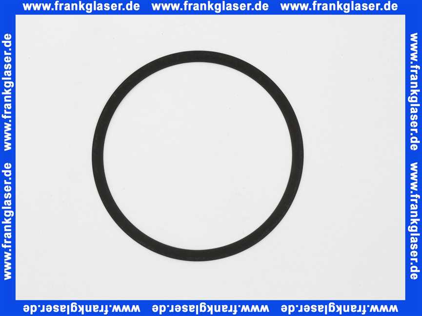 502035399 Wilo Dichtung