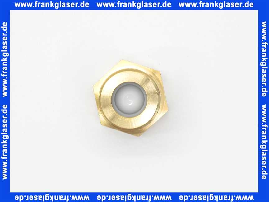 2070395 Wolf Rückflussverhinderer komplett