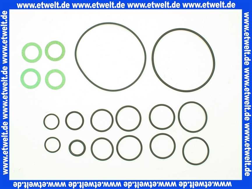 2070606 Wolf Dichtsatz FWM