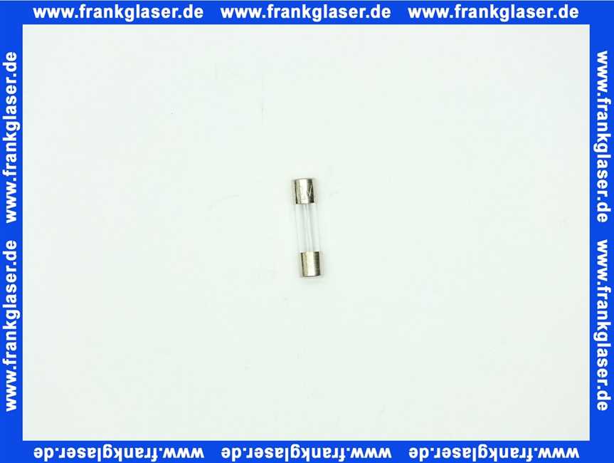 2745698 Wolf Sicherung Fein 2A Flink 250V 5x20mm