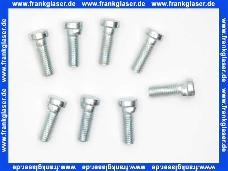 3450966 Wolf Schraube verdrehsicher M10x30 (1 Stück)