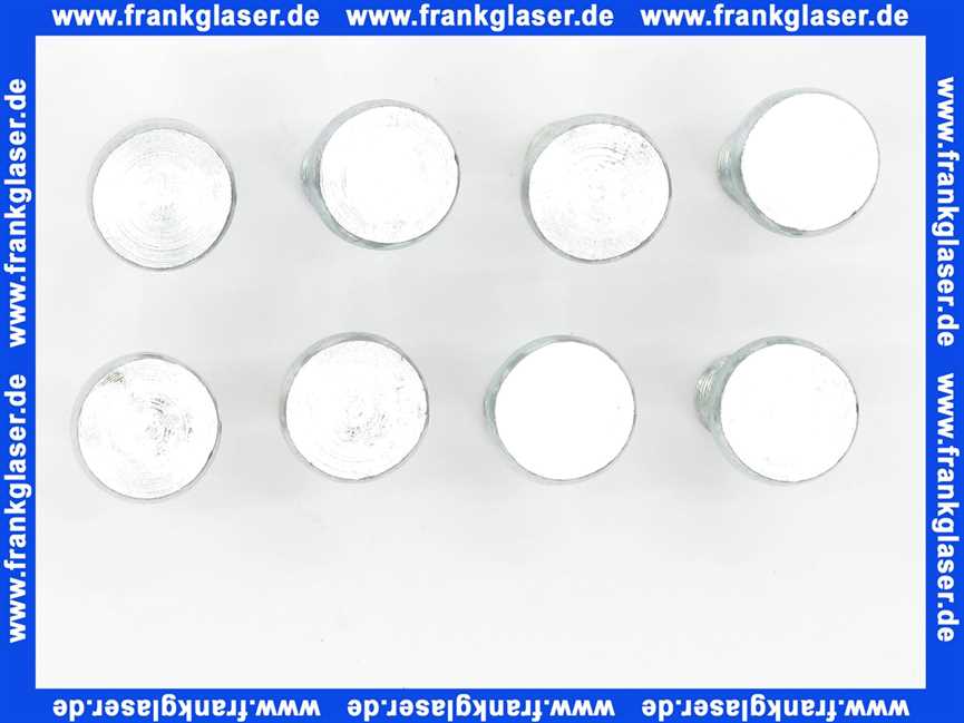 3450966 Wolf Schraube verdrehsicher M10x30 (8 Stück)