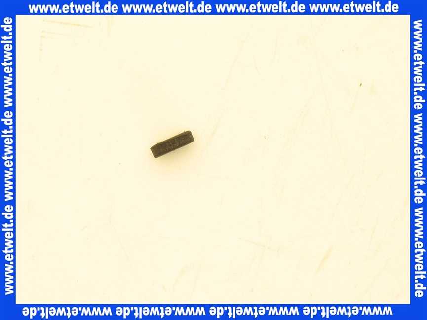 3903167 Wolf Dichtung für Prüfnippel