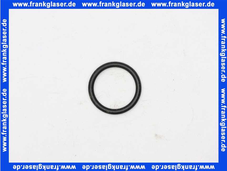 5718767199 Wolf O-Ring f.Strömungsschalter
