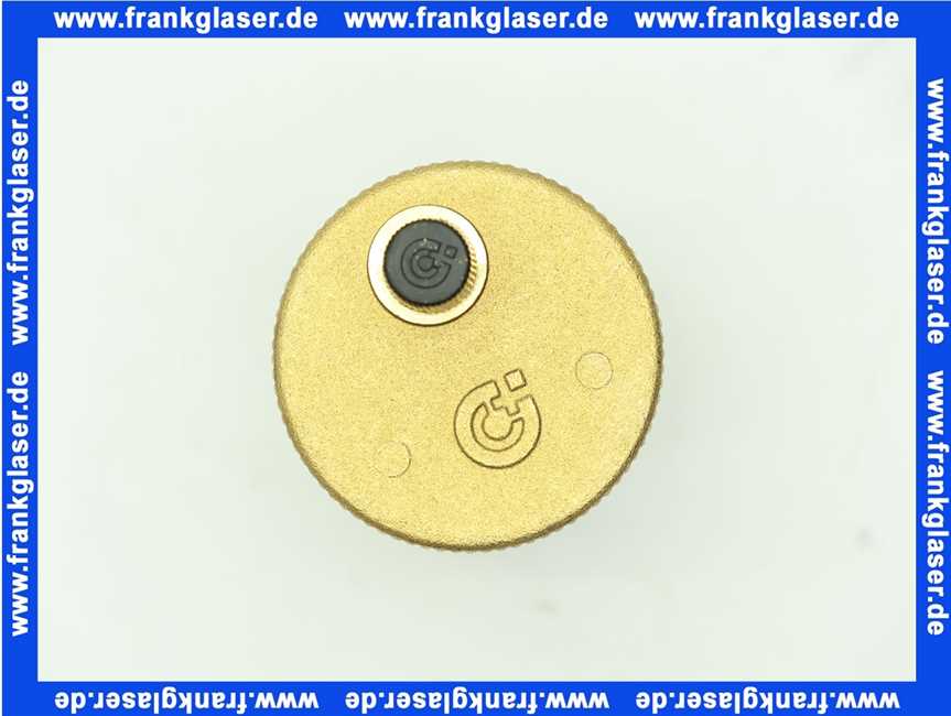 8601871 Wolf Automatisches Entlüftungsventil für GU-2/GG-2