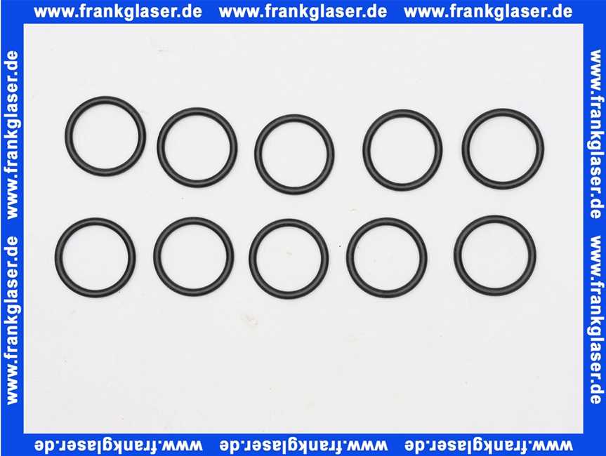 8602157 Wolf O-Ring 27,8 x 3,6 (10 Stück)