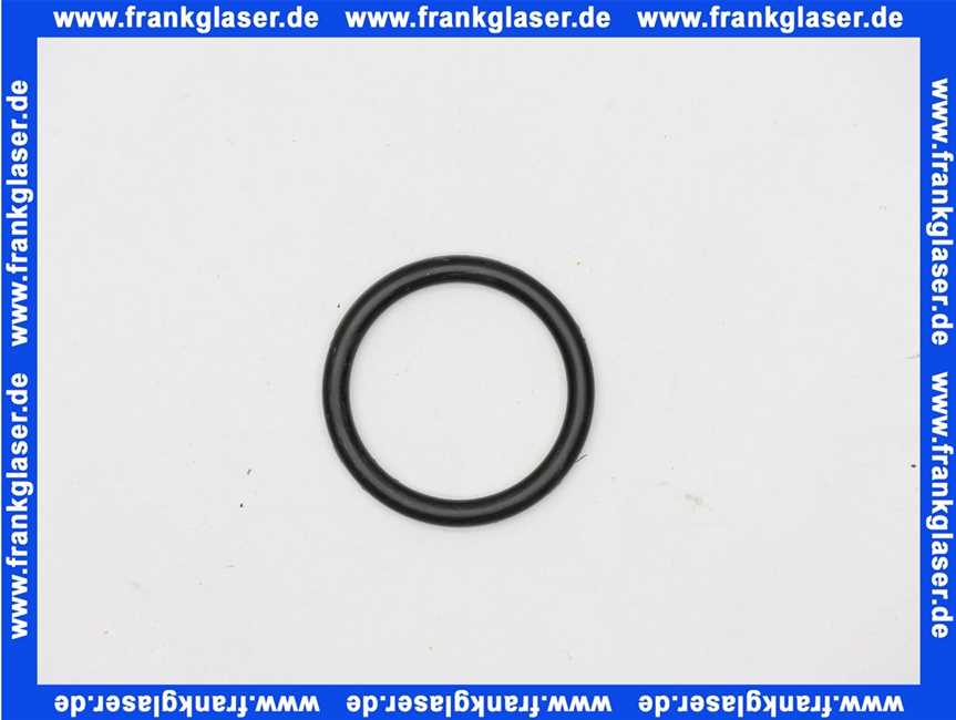 8602157 Wolf O-Ring 27,8 x 3,6 1 Stück