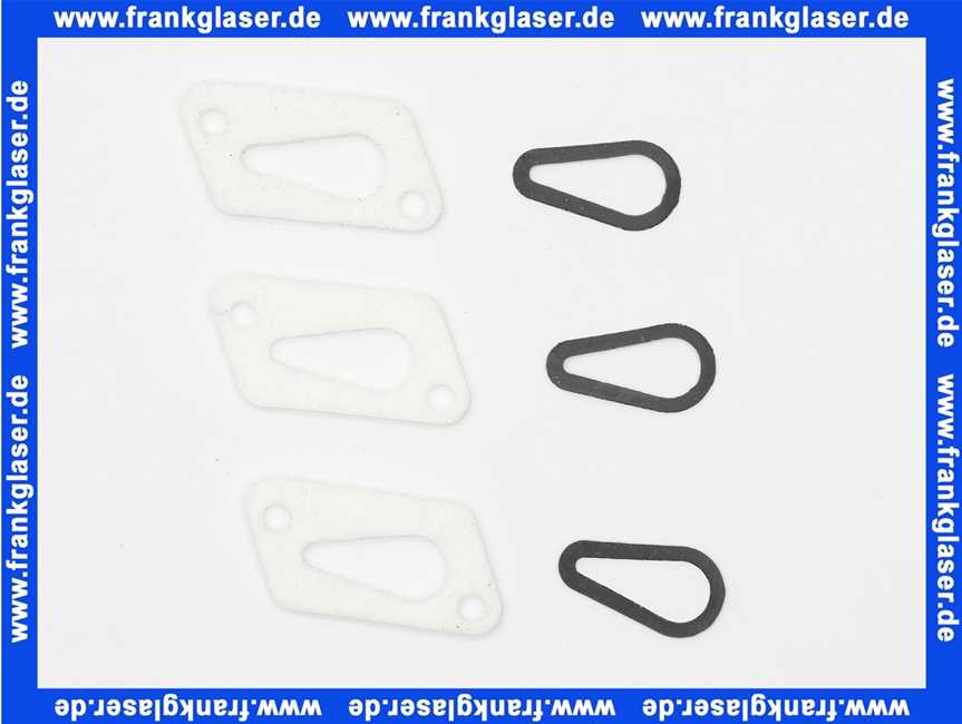 8602599 Wolf Dichtung für Zündelektrode