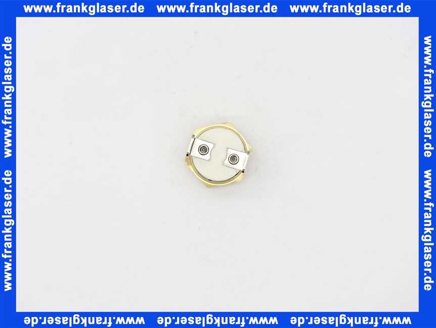 8610011 Wolf Temperaturwächter Brennkammerdeckel