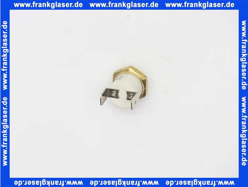 8610011 Wolf Temperaturwächter Brennkammerdeckel