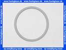 Bosch O-Ring 160x10 7747007986