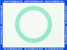 Bosch 8738808295 Dichtung 141x182x2 DN125 PN6 AFM34