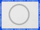 3869026 Buderus O-Ring 160x10