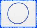 87092012 Buderus Dichtung Dichtring rund DN80 x 3,5 blau a 1 Stück