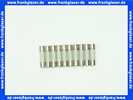 87185706640 Buderus Sicherungseinsatz 230V/10A 5x20mm (10x)