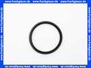 87229333300 Buderus Dichtring D: 87,5mm