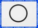1180870 Bwt Formdichtung EP 116 x 100x 7 KTW