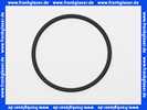 1181466 Bwt O-RING EP70 66x3.8 KTW 1181466 Bwt O-RING EP70 66x3.8 KTW