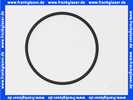 1181585 BWT O-Ring EP70 97X4