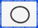 590169 Dallmer O-Ring Dichtung