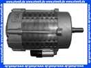 65300520 ELCO Motor 230 V - 50 Hz - 250 W EB95C80/2