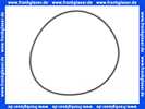 Grundfos 1 Stück O-Ring 171,04 x 3,53 EPDM 97511824 Grundfos 1 Stück O-Ring 171,04 x 3,53 EPDM 97511824