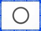 1110000768/1 Roth Flachdichtung 1 Stück