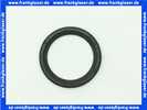 Lippendichtring Dichtung DN 40