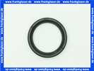 Lippendichtring Dichtung DN 40