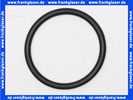 11120633 Sulzer EPDM O-Ring