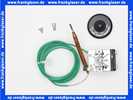 40211022202 Weishaupt Temperaturregler RAK53.4/3521