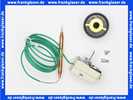 40211022202 Weishaupt Temperaturregler RAK53.4/3521