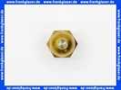 602119 Weishaupt Düse SR 60 1,00 GPH Danfoss mit Filter