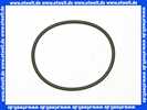 2037914 Wilo O-Ring ID 75,79 x 3,53mm