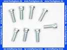3450966 Wolf Schraube verdrehsicher M10x30 (8 Stück)