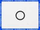 5718767199 Wolf O-Ring f.Strömungsschalter